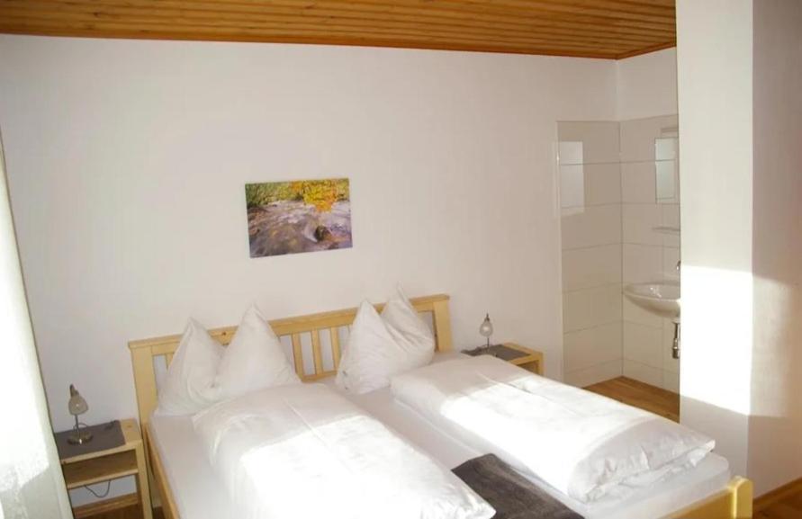 Haus Brigitte Rettensteiner Schladming Esterno foto